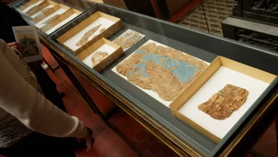 Photo of События знаменитой археологической находки